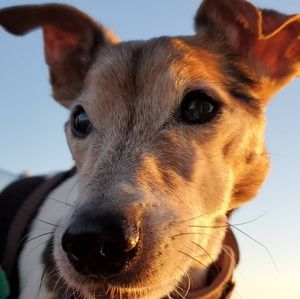 Meet your Posher, Steven